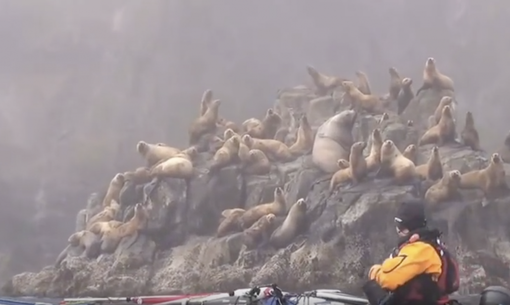 Kayaking The Aleutians | 2016 Reel Paddling Film Festival Trailer | Rapid Media