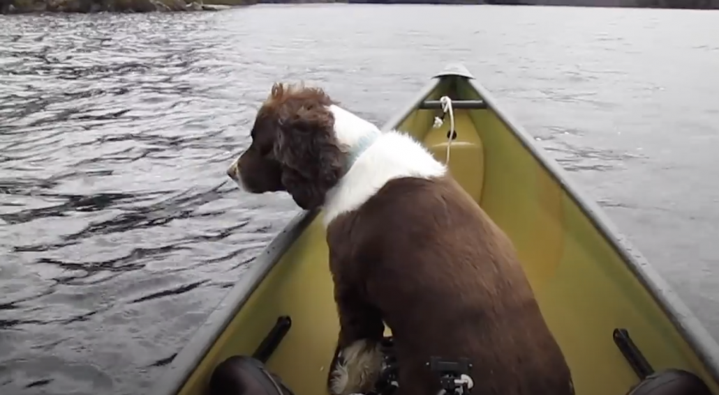 4 Day Solo Canoe Trip in Algonquin Park...Episode 1