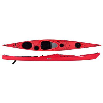 Delphin II 155